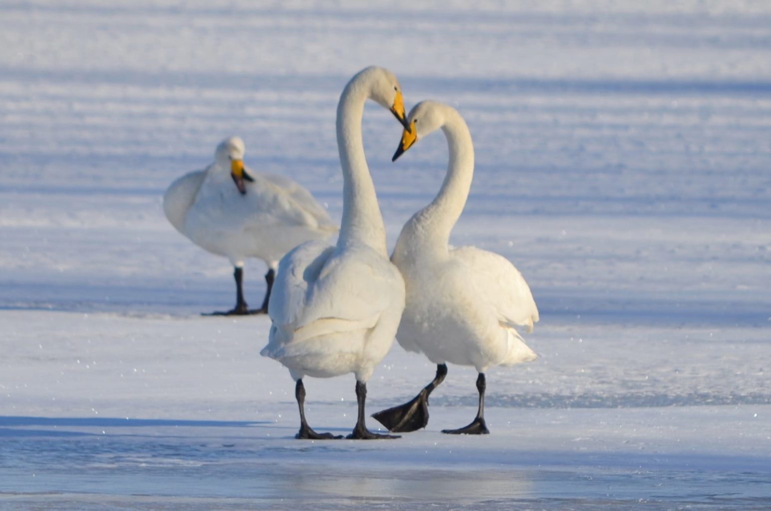 Valokuvaaja: Leena Rissanen