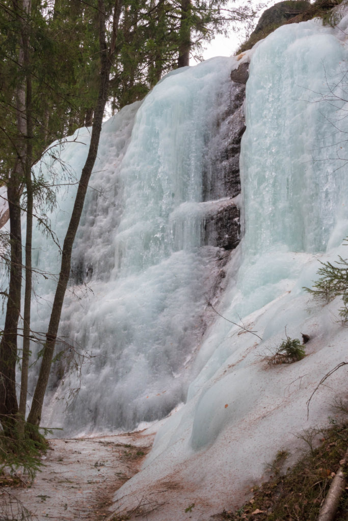 Valokuvaaja: Merja Ollikainen