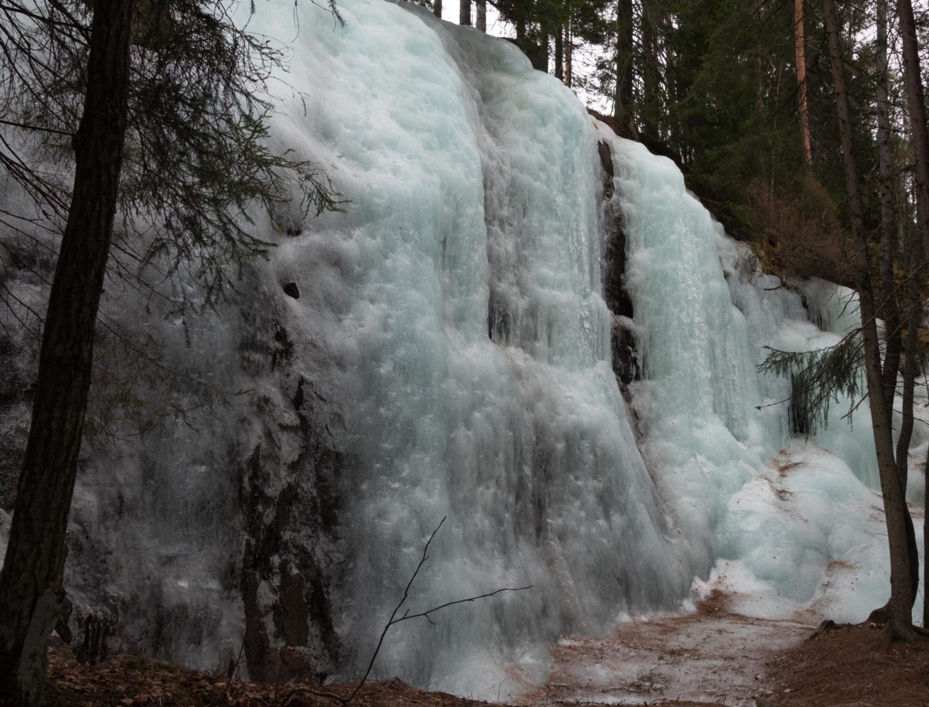 Valokuvaaja: Merja Ollikainen
