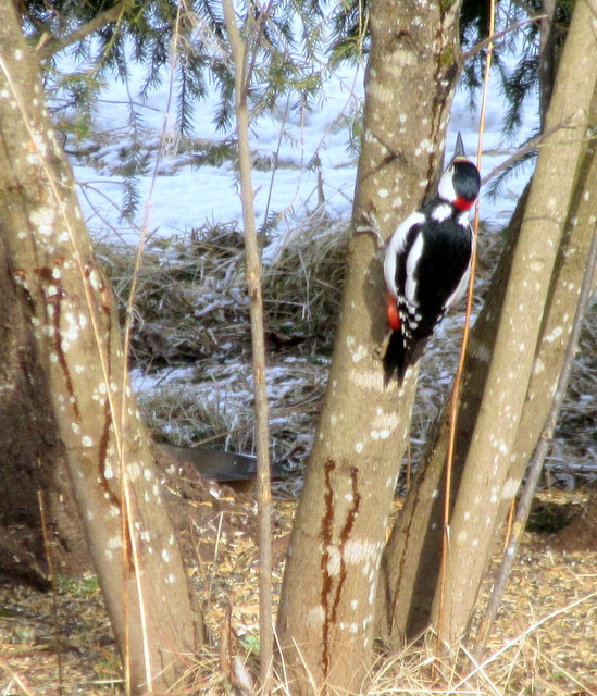 Valokuvaaja: SEIJA LAITALA