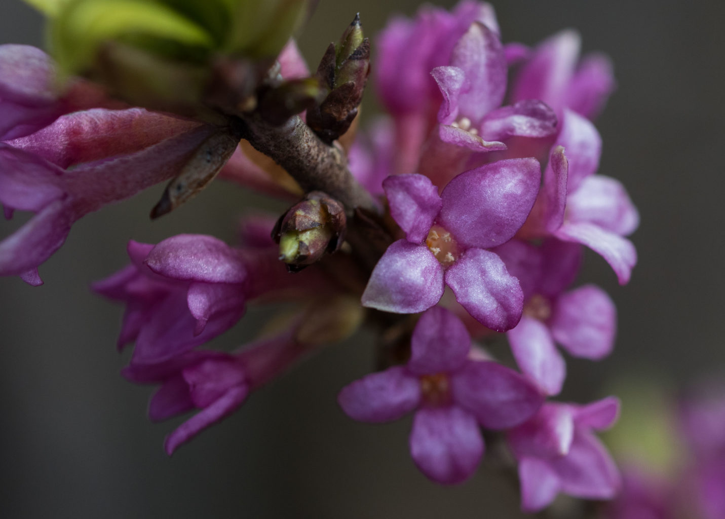 Valokuvaaja: Merja Ollikainen