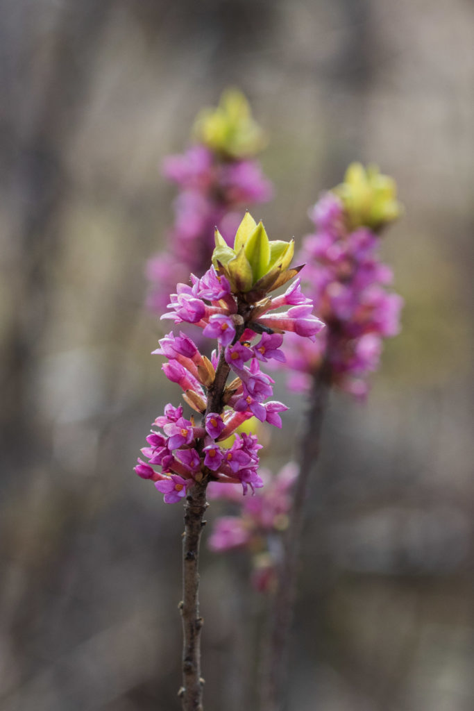 Valokuvaaja: Merja Ollikainen