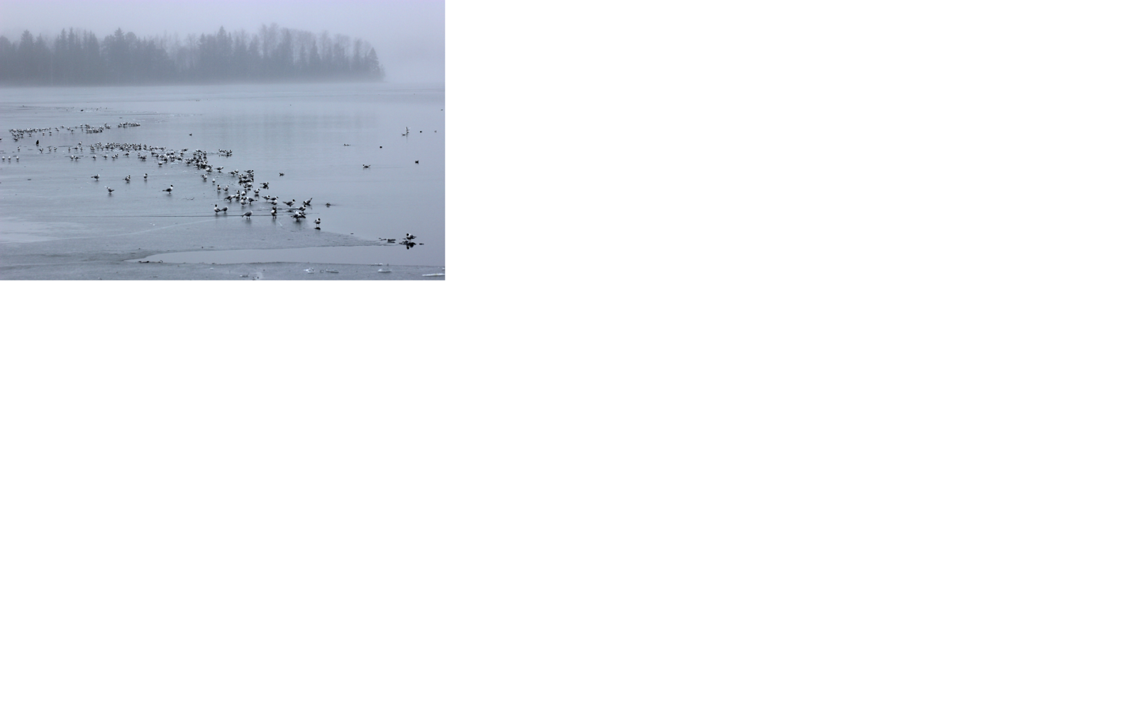 Valokuvaaja: Irja Lehtinen