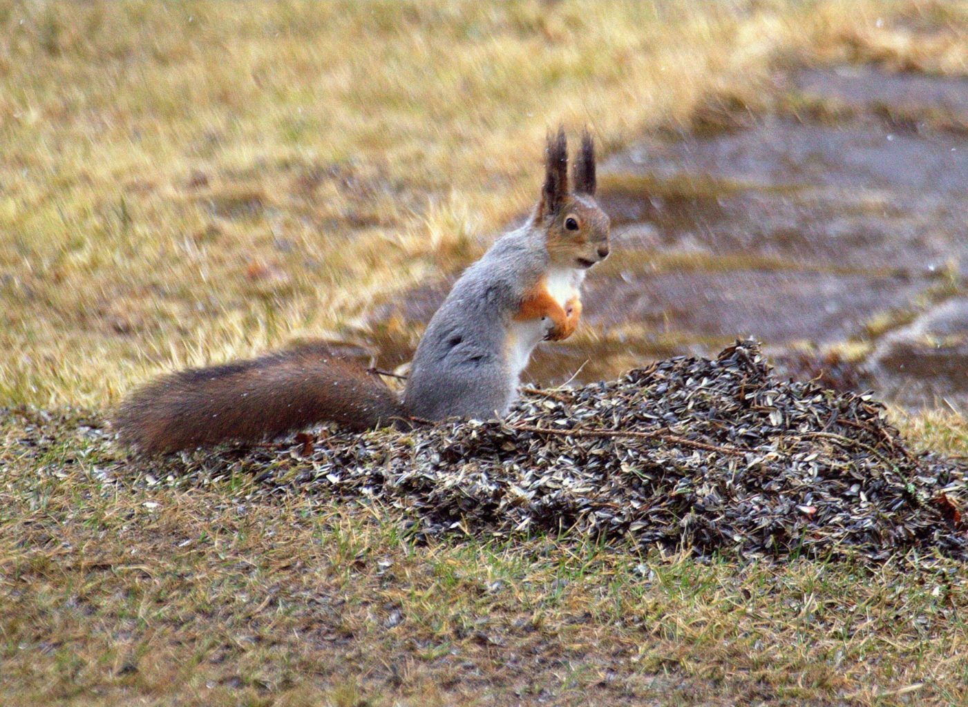 Valokuvaaja: Sirpa Jyske