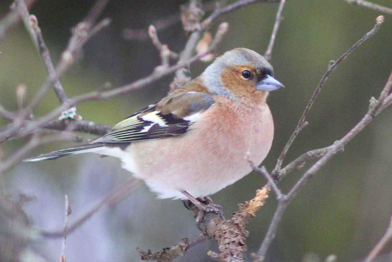 Valokuvaaja: Kalle Asikainen