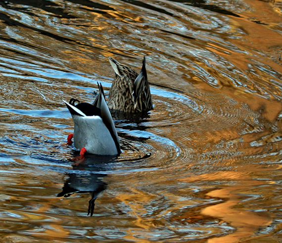 Valokuvaaja: Seppo Kalliomäki