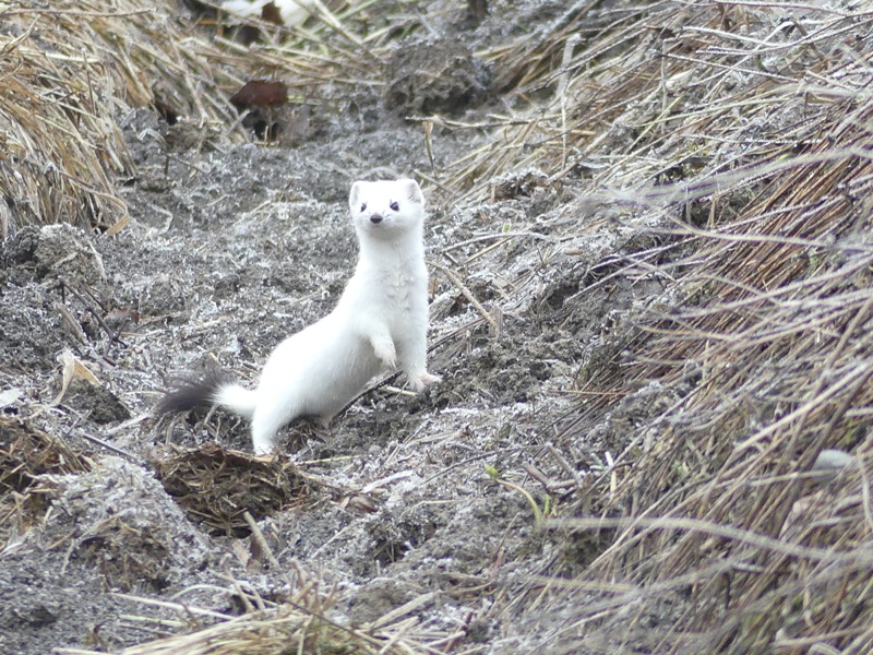 Valokuvaaja: Raili Paavola
