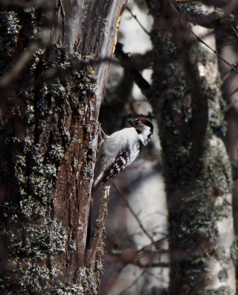 Valokuvaaja: Sirkka Karppinen