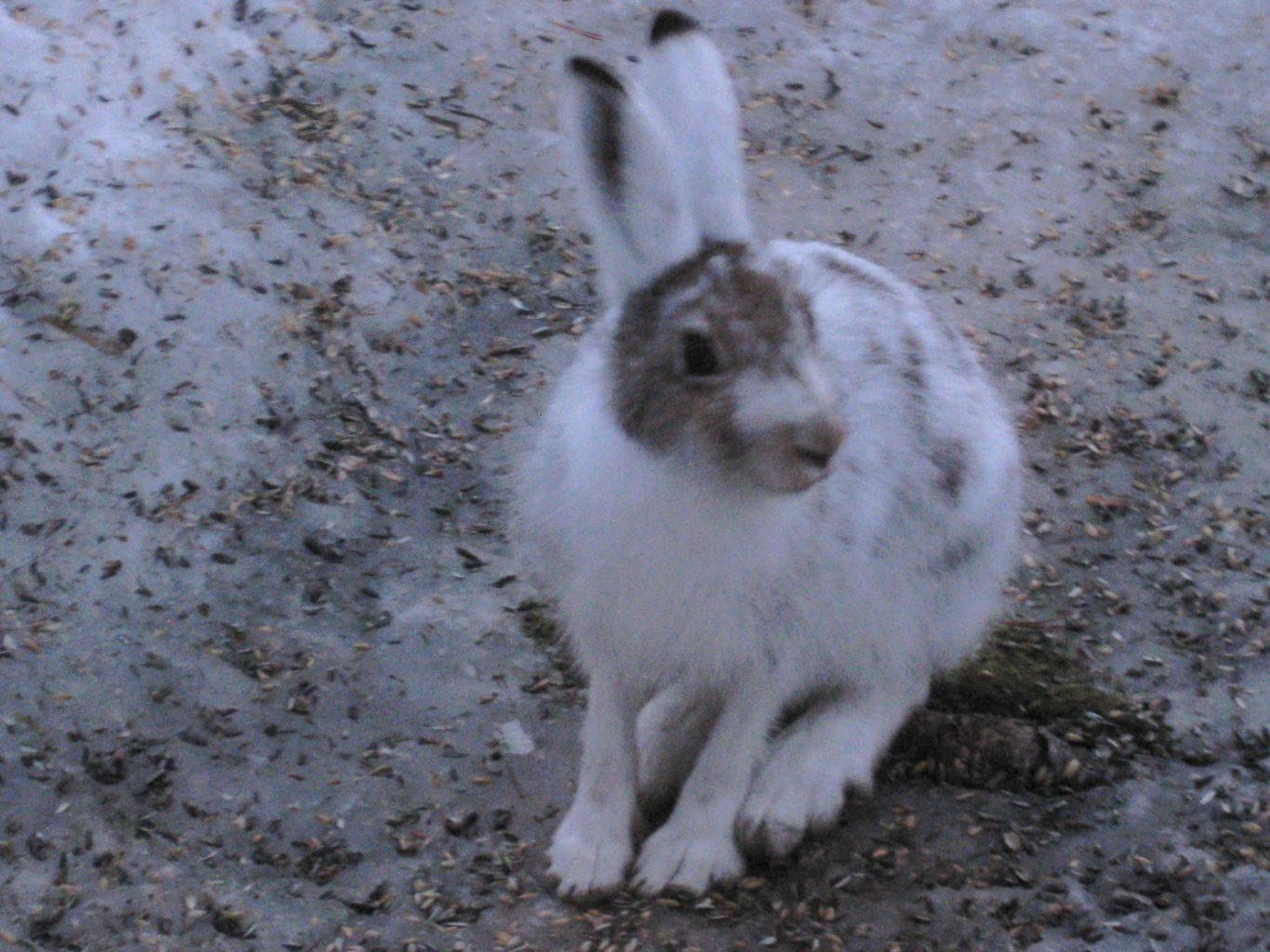 Valokuvaaja: yrjo lukkari