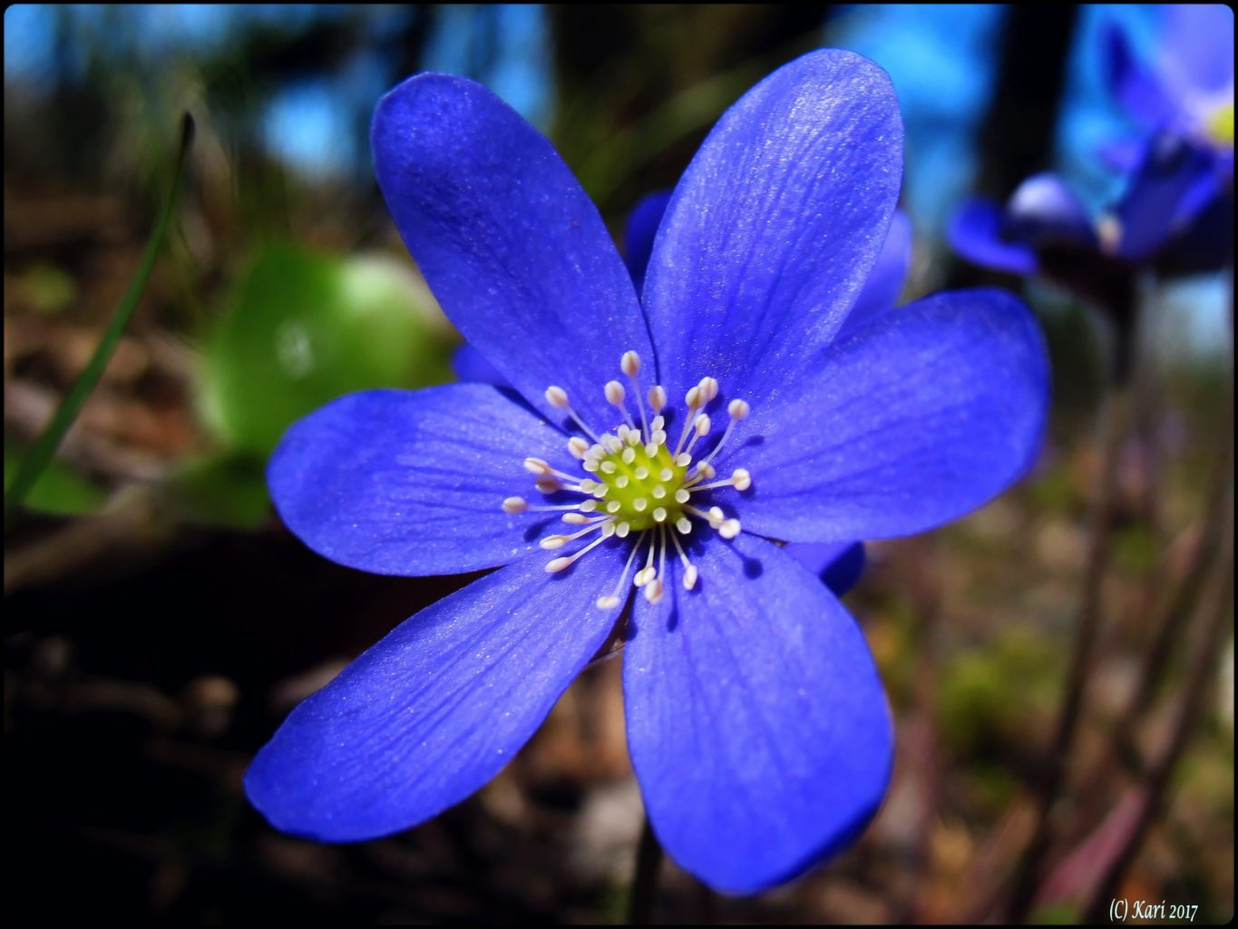 Valokuvaaja: Kari Saarinen