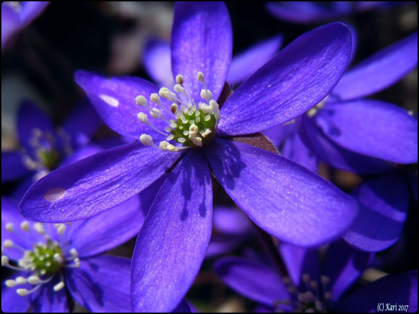 Valokuvaaja: Kari Saarinen