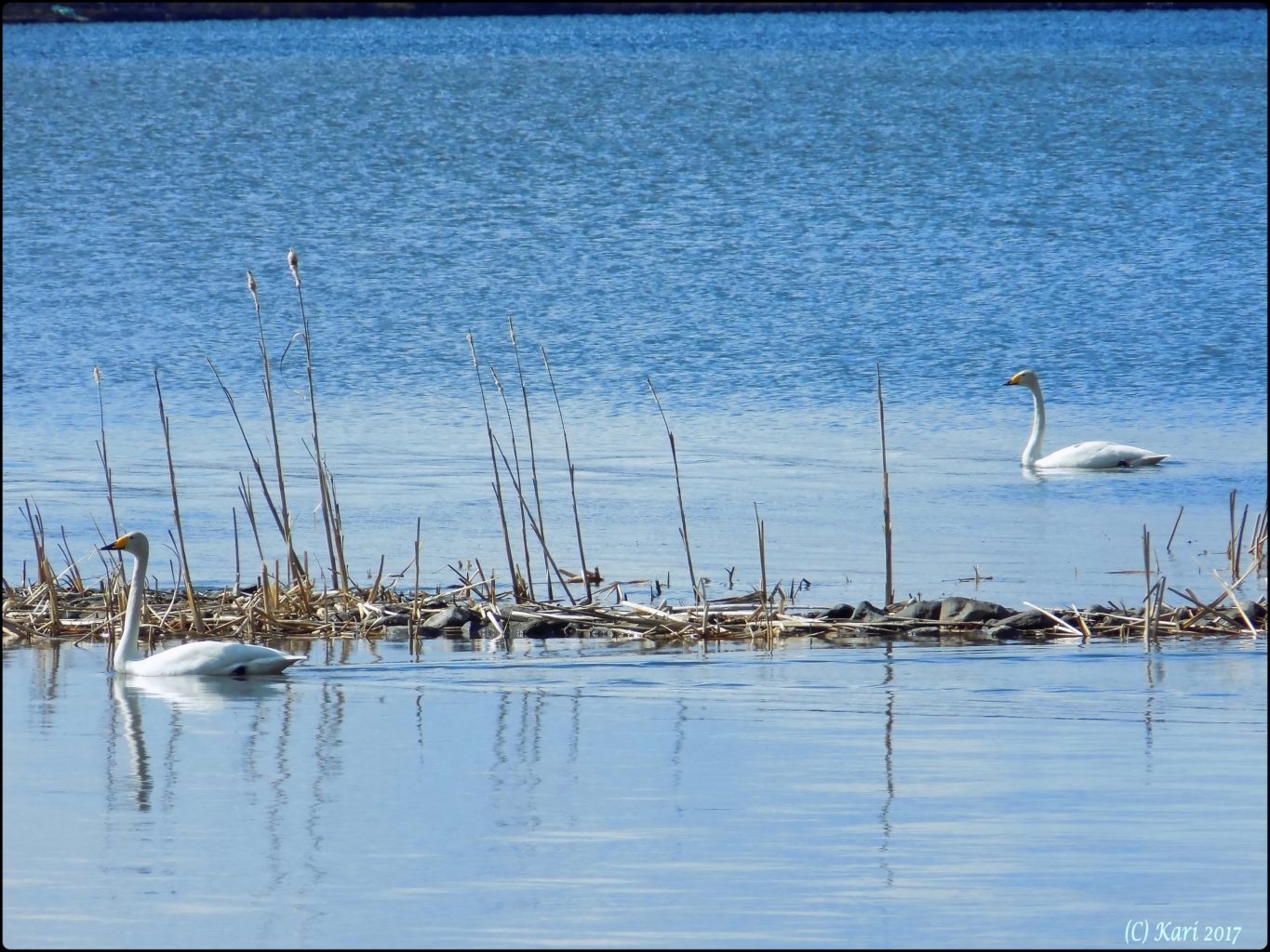 Valokuvaaja: Kari Saarinen Valokuvaaja: Kari Saarinen