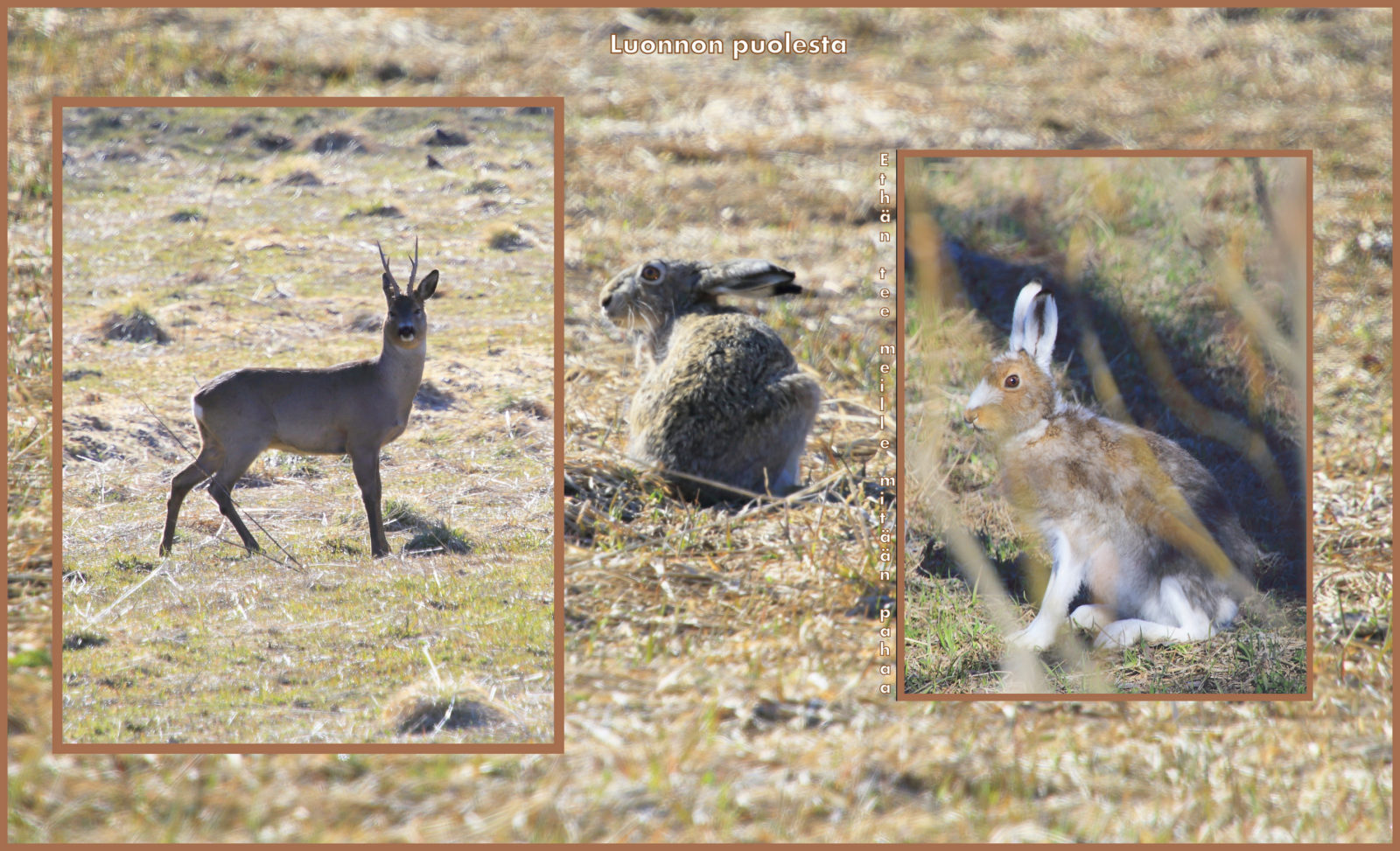 Valokuvaaja: Sami Korhonen