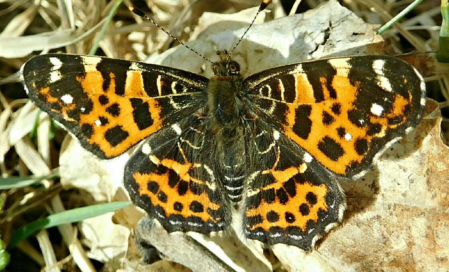 Valokuvaaja: Miia Pesu