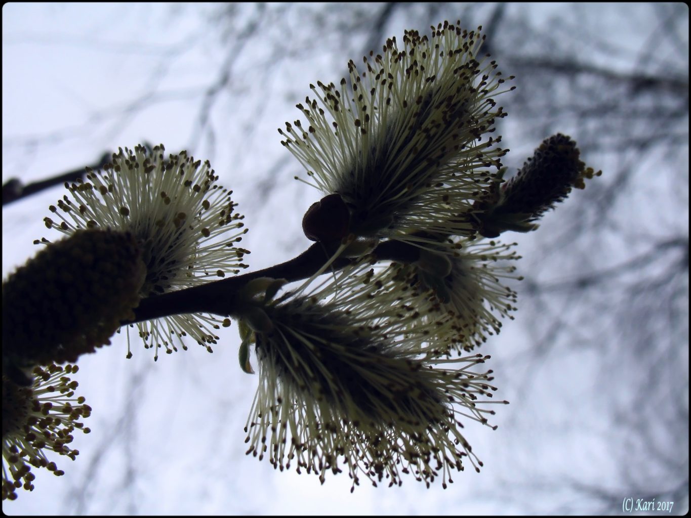 Valokuvaaja: Kari Saarinen