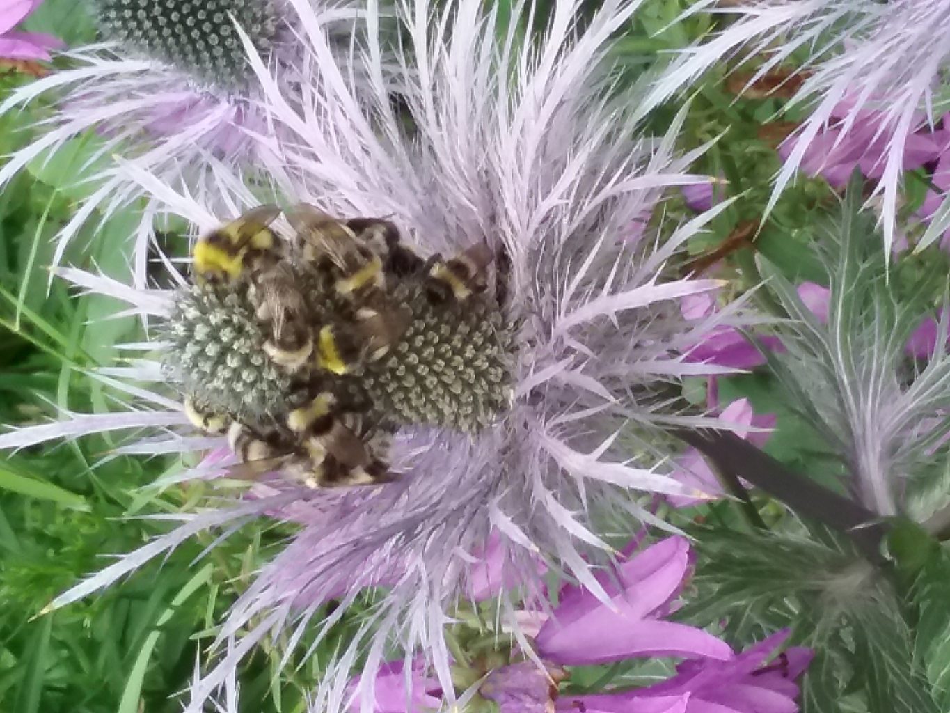 Valokuvaaja: Raija Harjunpää