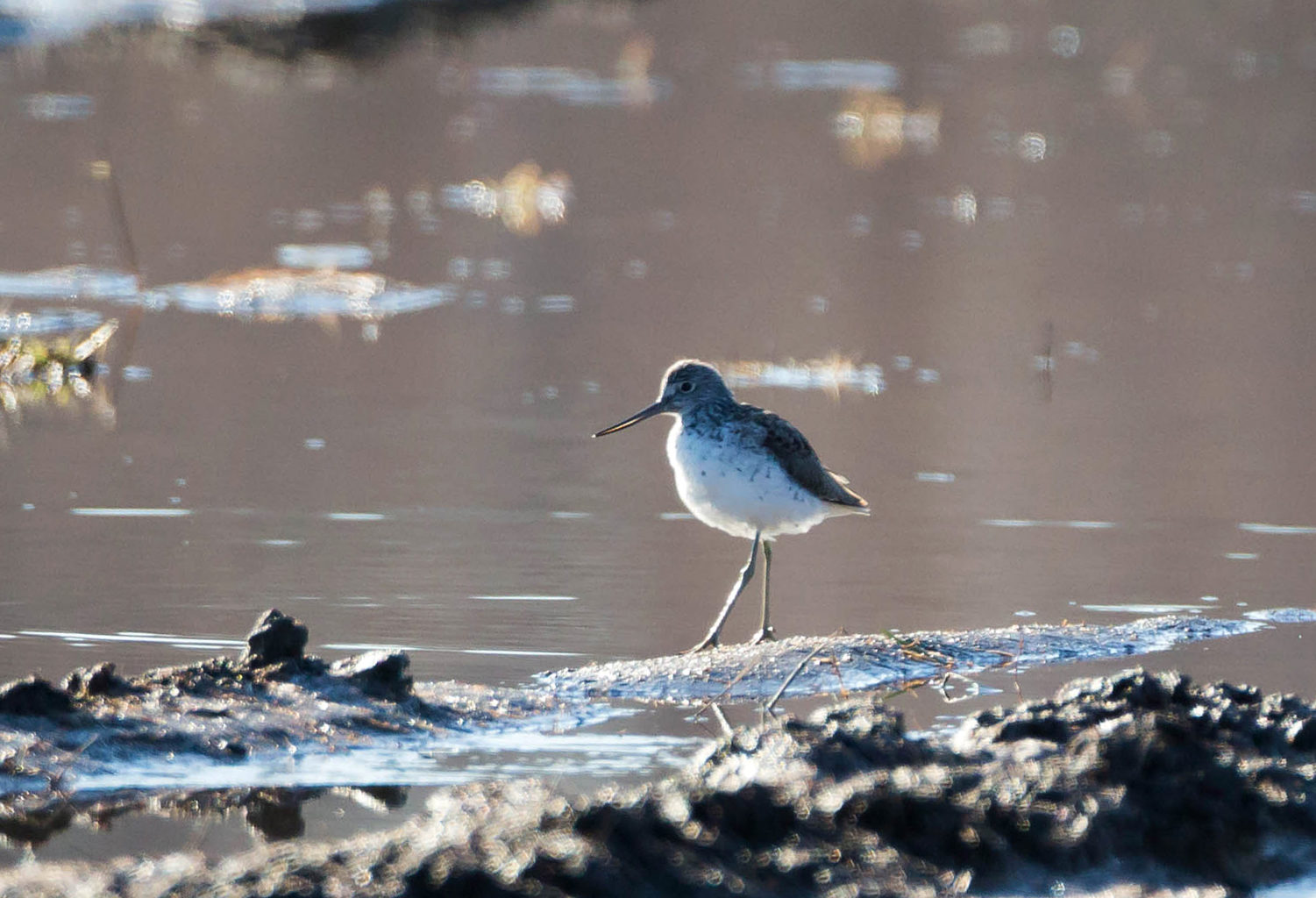 Valokuvaaja: Irma Kortekallio