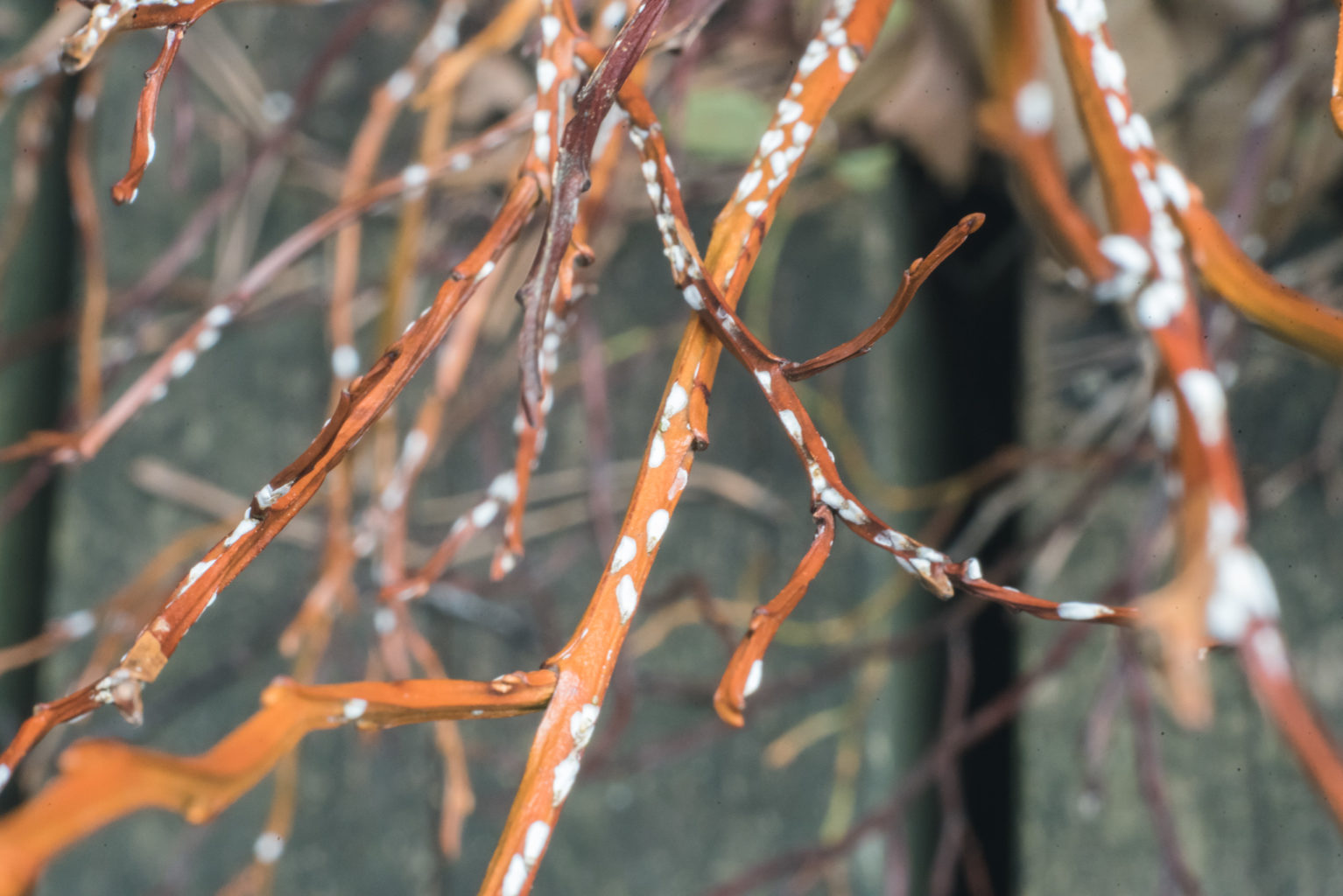 Valokuvaaja: Mari Mur