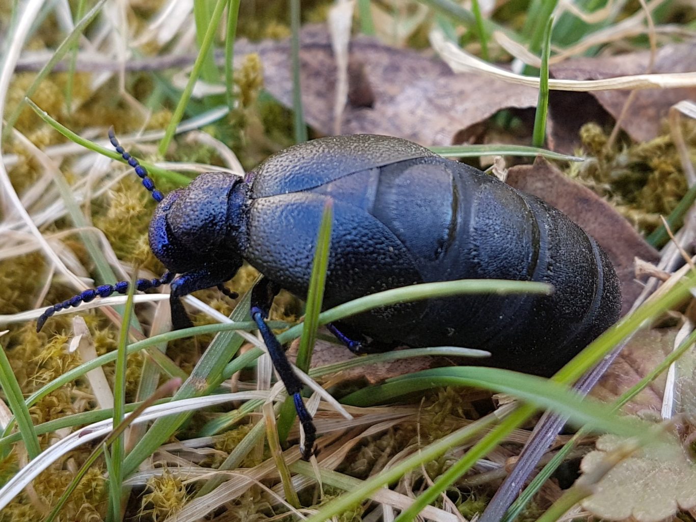 Valokuvaaja: Jarmo Salo