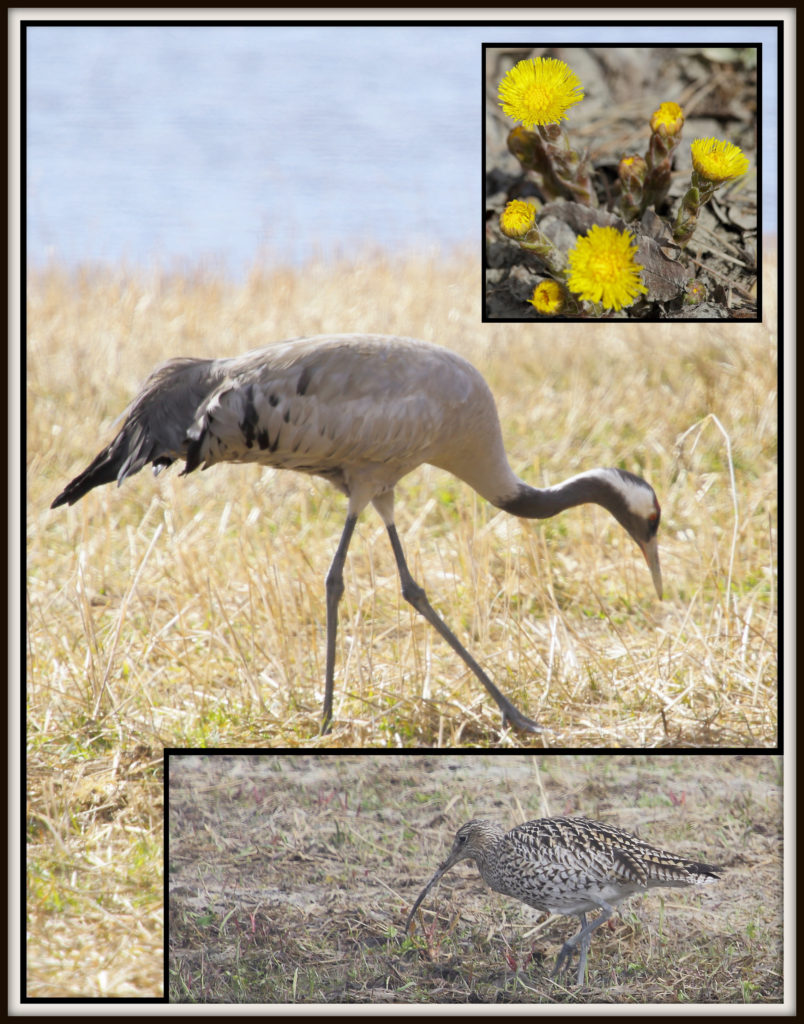 Valokuvaaja: Sami Korhonen