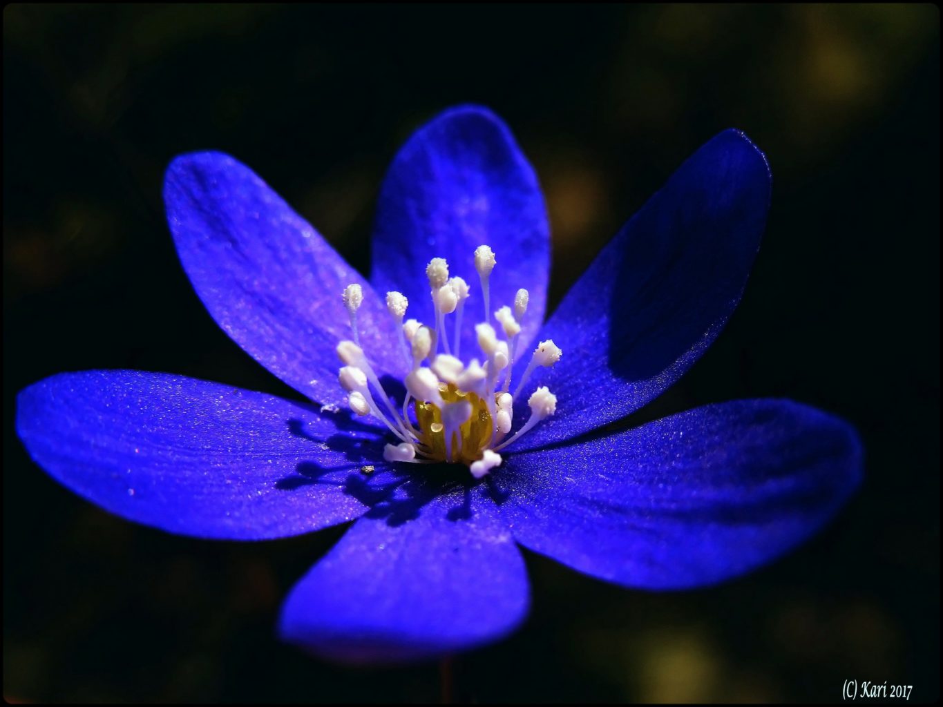 Valokuvaaja: Kari Saarinen