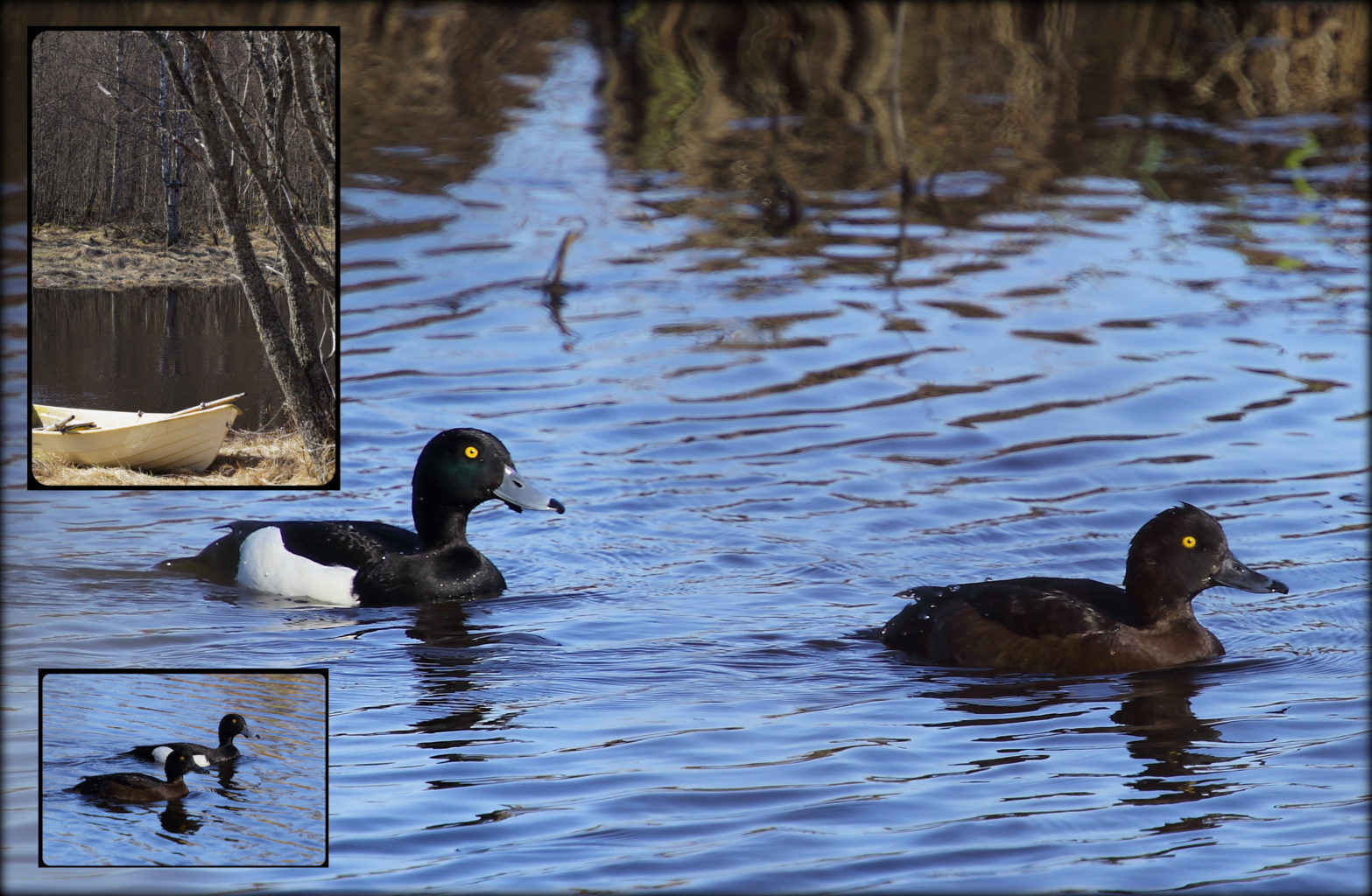 Valokuvaaja: Sami Korhonen