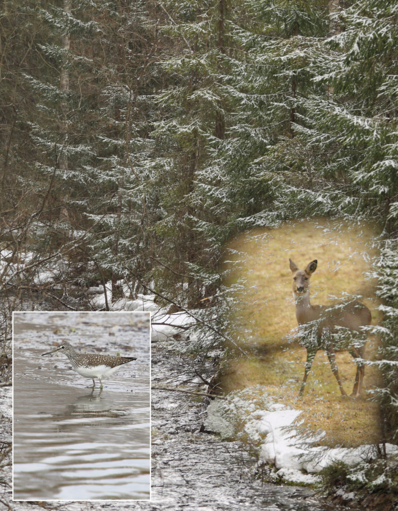 Valokuvaaja: Sami Korhonen