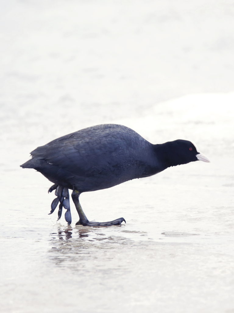 Valokuvaaja: Anne Moilanen
