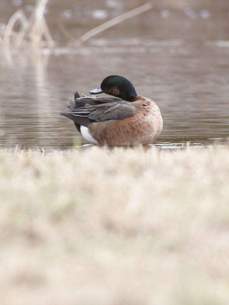 Valokuvaaja: Anne Moilanen