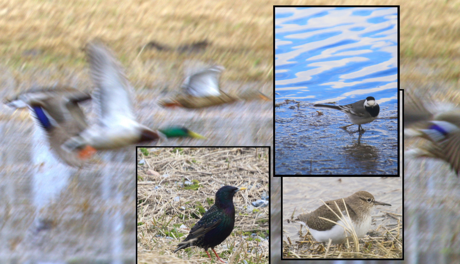 Valokuvaaja: Sami Korhonen