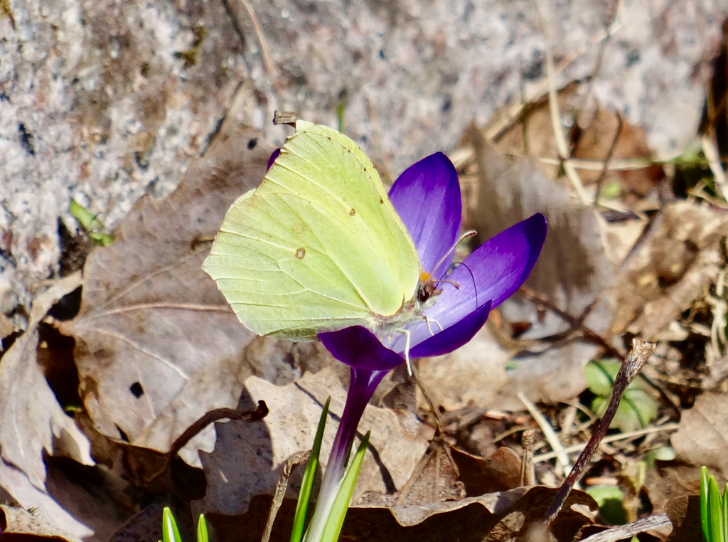 Valokuvaaja: Liisa Niiva-Korpela