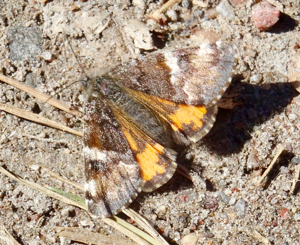 Valokuvaaja: Liisa Niiva-Korpela