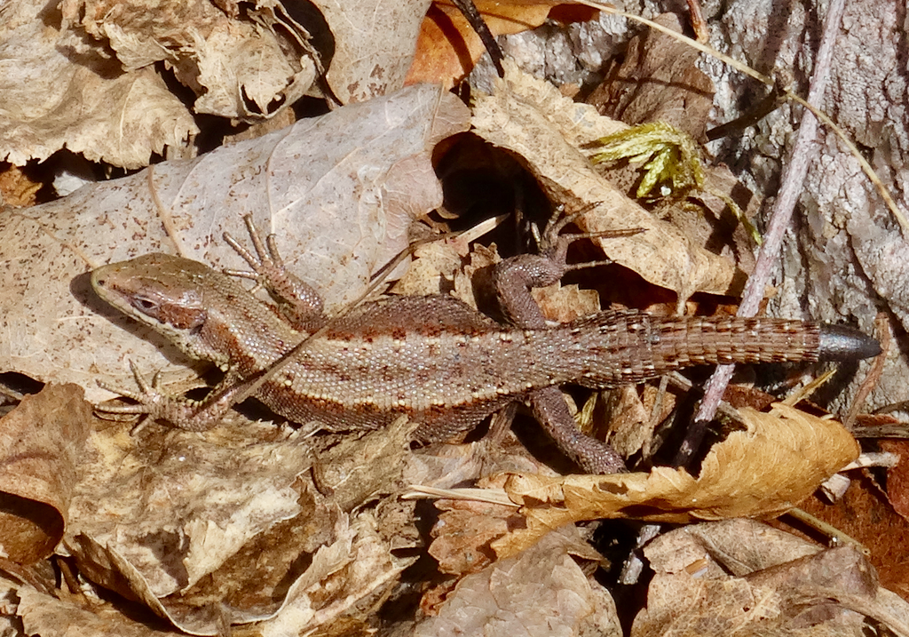 Valokuvaaja: Liisa Niiva-Korpela
