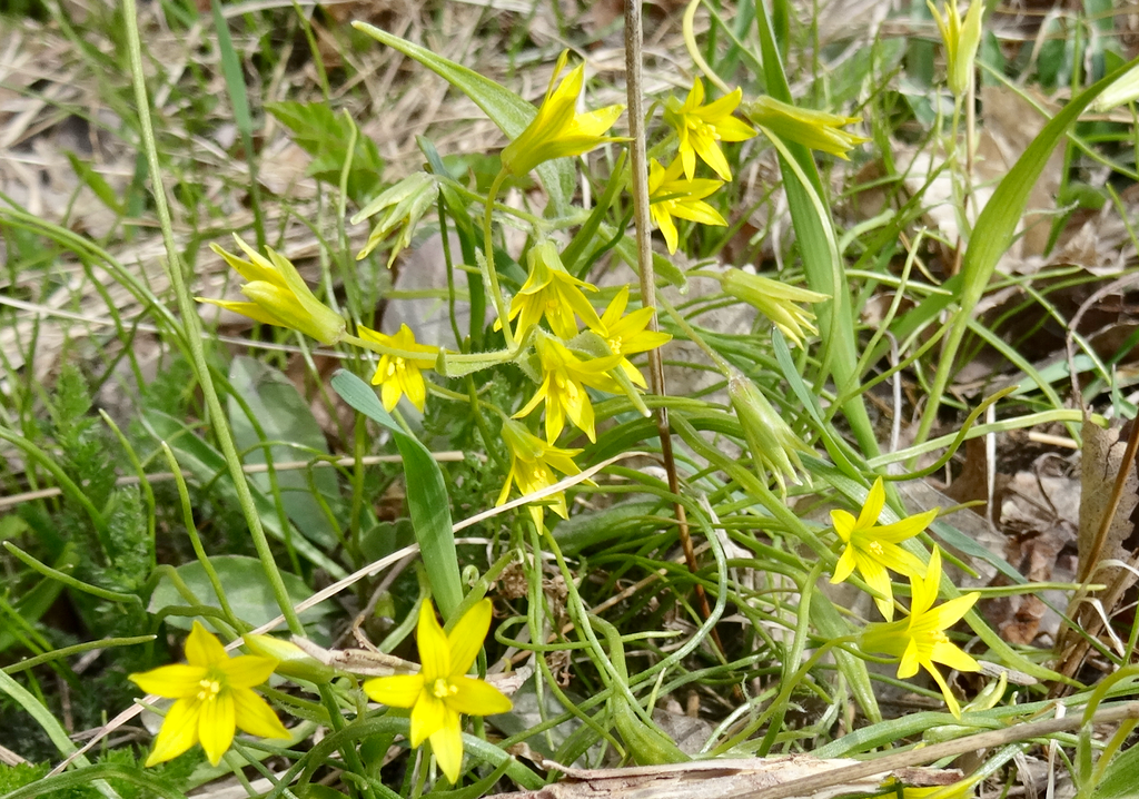 Valokuvaaja: Liisa Niiva-Korpela