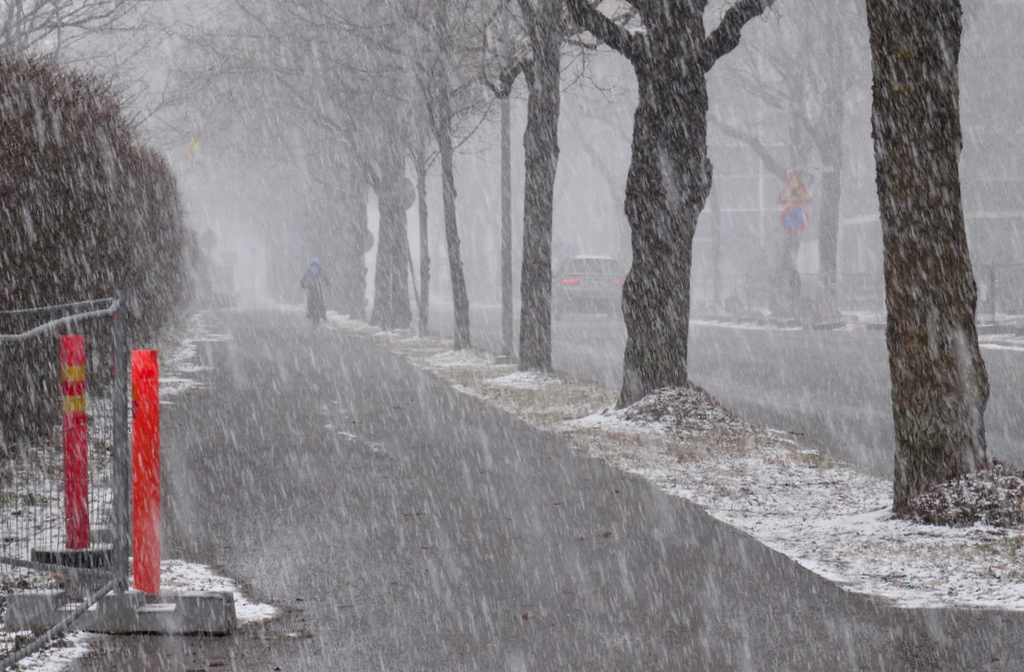 Valokuvaaja: Liisa Niiva-Korpela