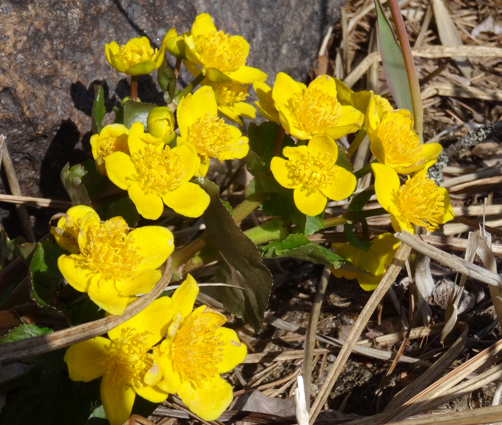 Valokuvaaja: Liisa Niiva-Korpela