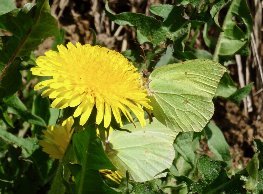 Valokuvaaja: Liisa Niiva-Korpela