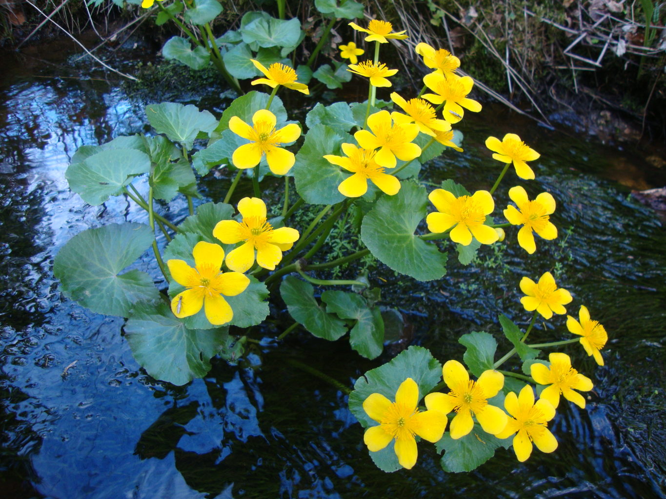 Valokuvaaja: Anja Mustamaa