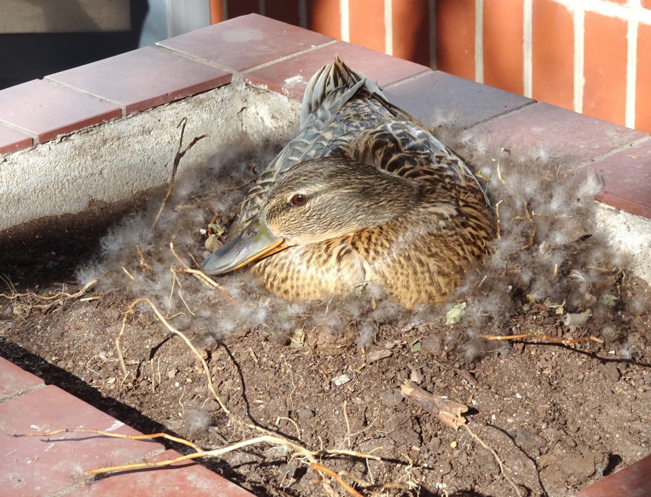 Valokuvaaja: Irja lehtinen