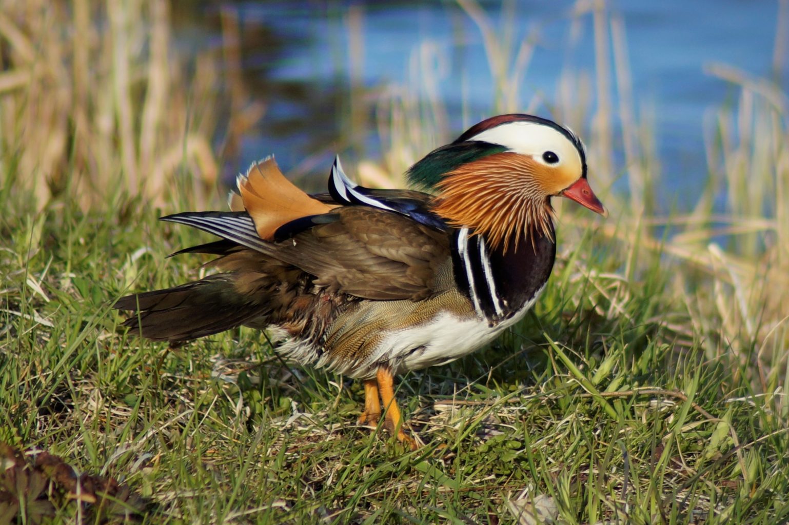 Valokuvaaja: Maarit Siitonen