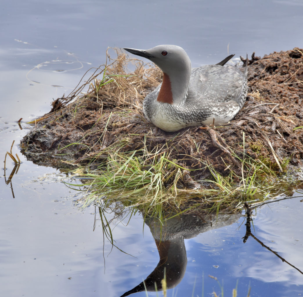 Valokuvaaja: Reijo Juurinen