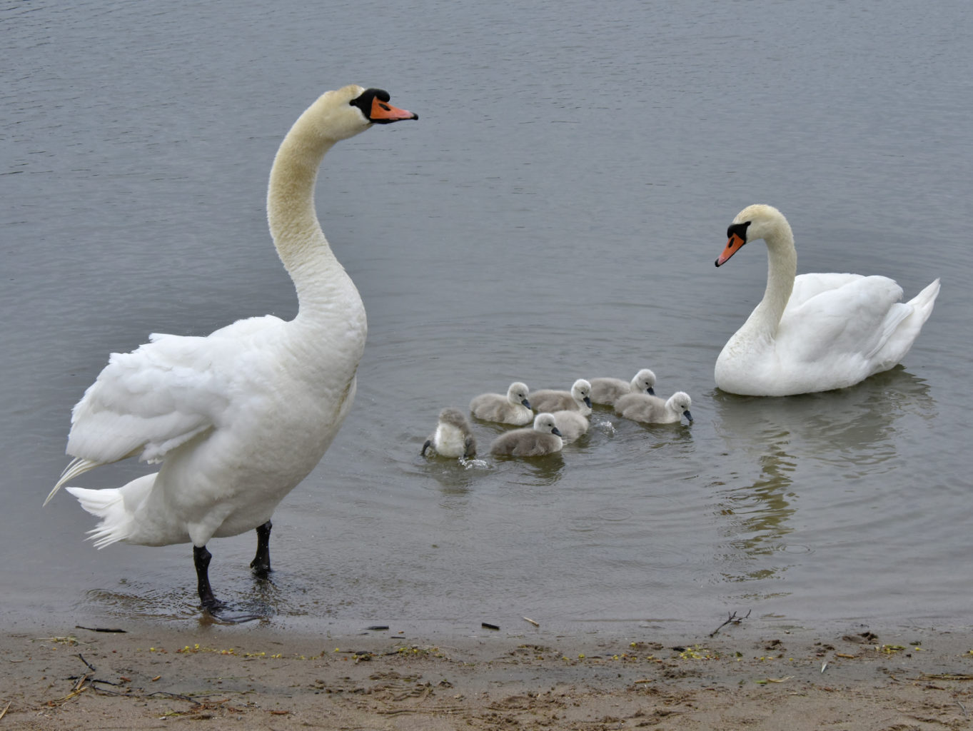 Valokuvaaja: Reijo Juurinen