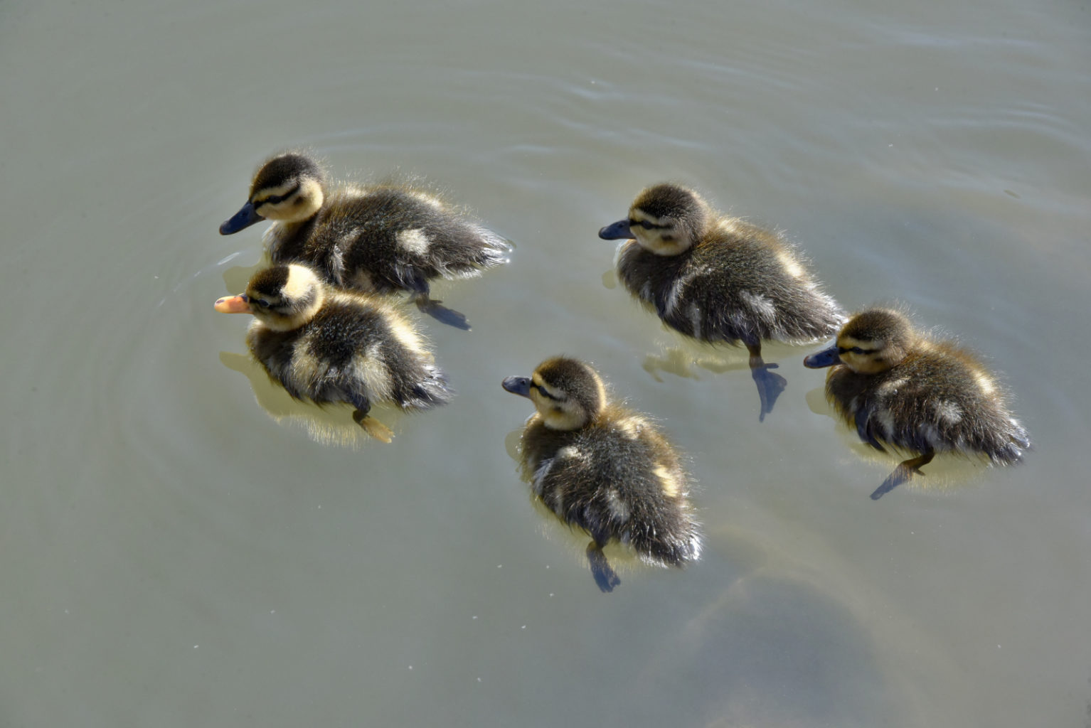 Valokuvaaja: Reijo Juurinen