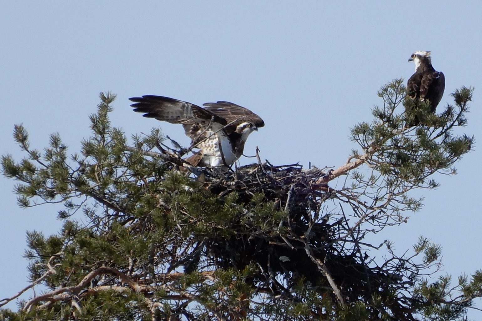 Valokuvaaja: Eeva-Marja Kovanen