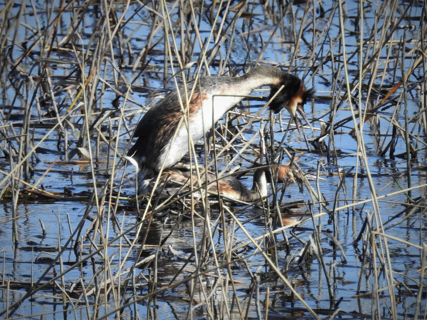 Valokuvaaja: Maarit Siitonen Valokuvaaja: Maarit Siitonen