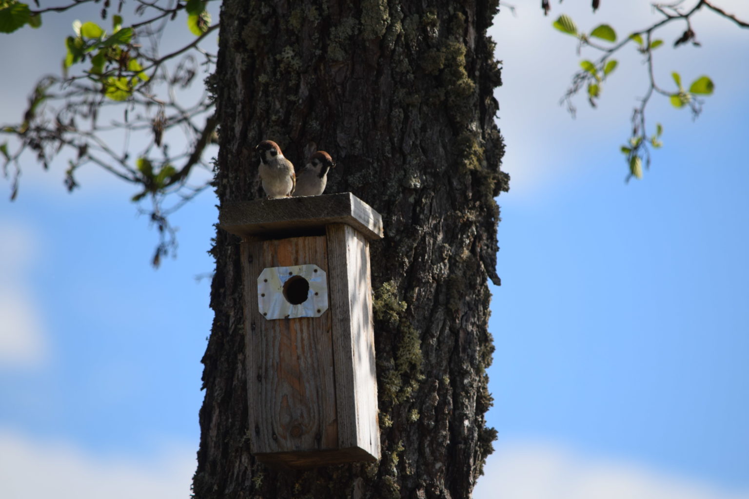 Valokuvaaja: Riitta Marjamäki