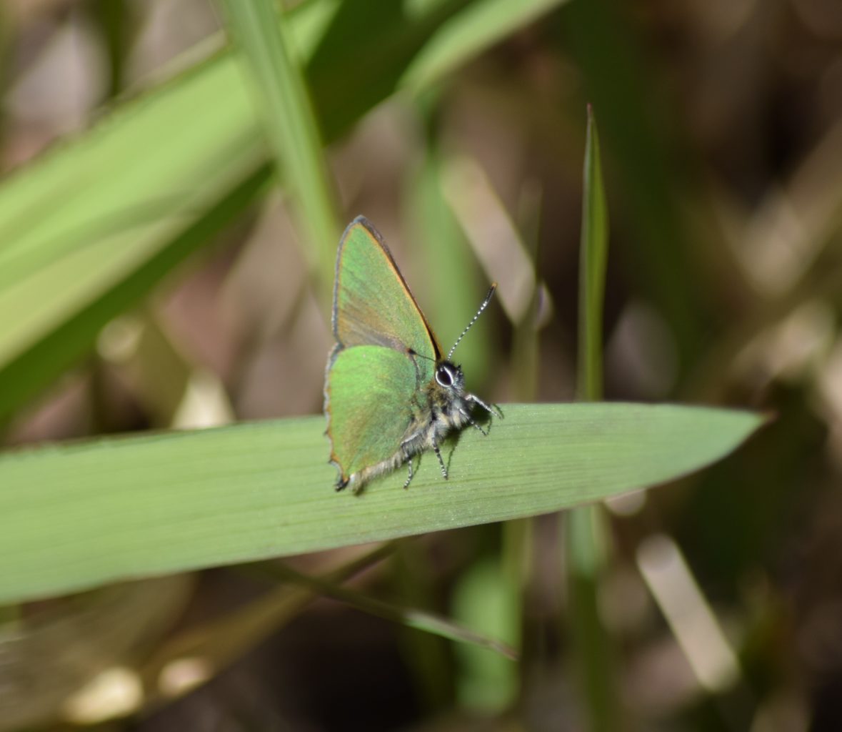 Valokuvaaja: Riitta Marjamäki