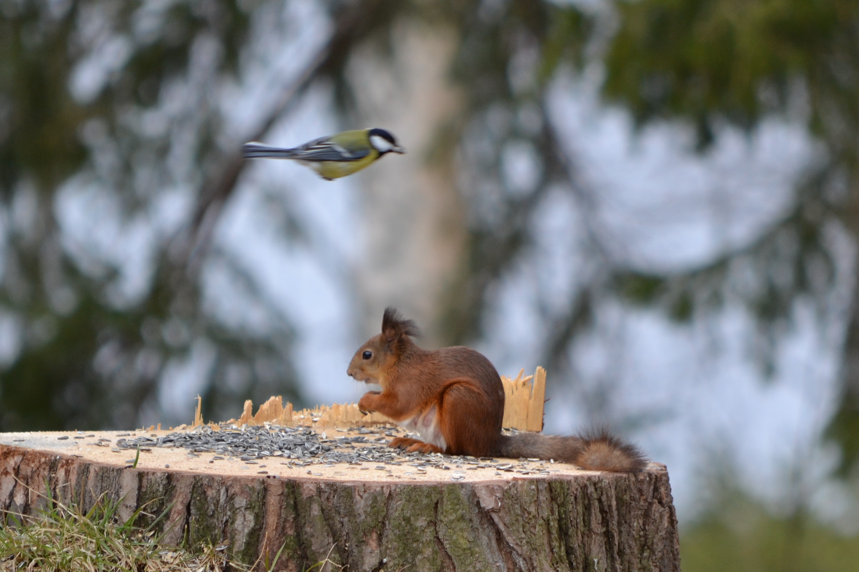 Valokuvaaja: Leena Rissanen Valokuvaaja: Leena Rissanen