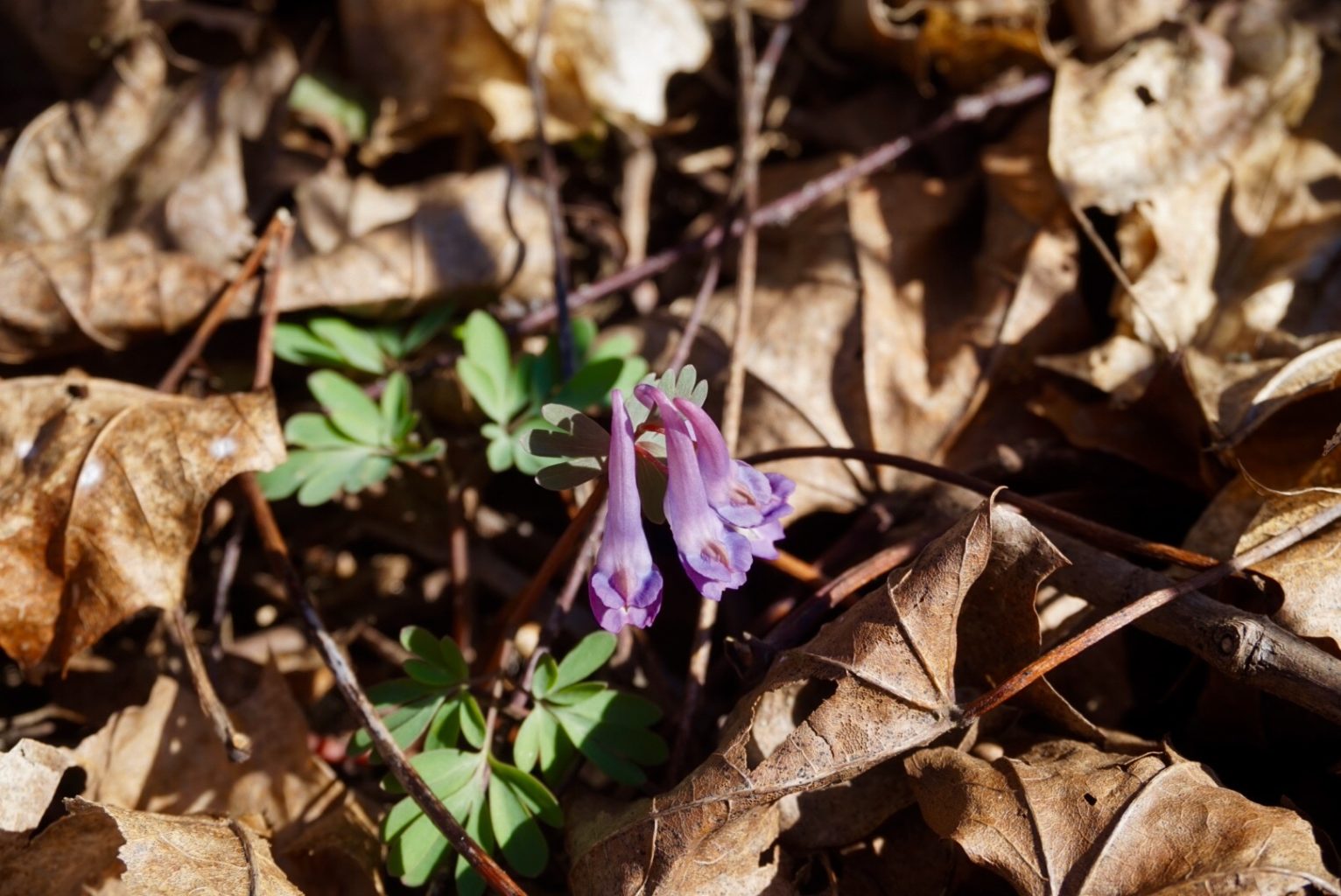 Valokuvaaja: Eiju Nurmi
