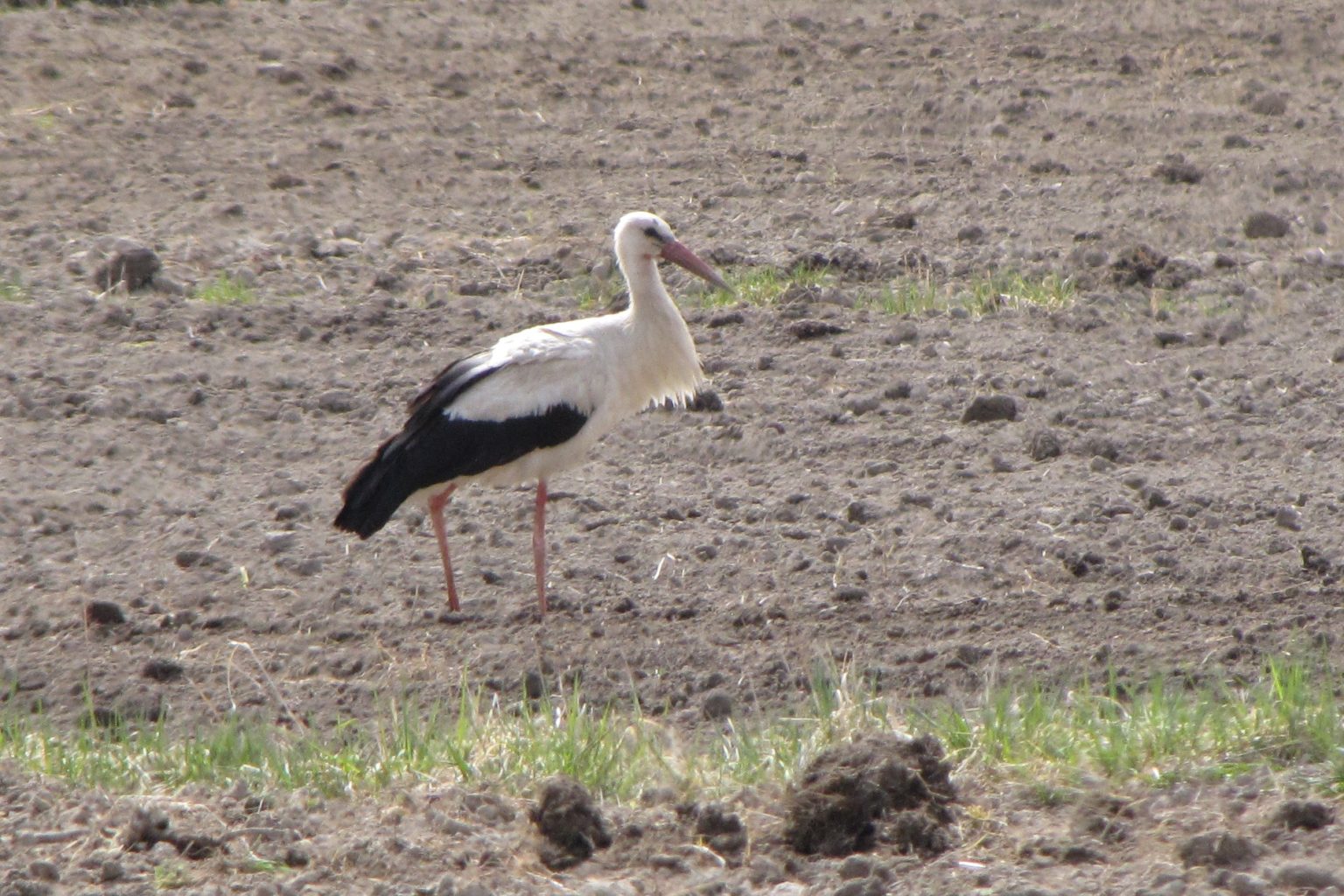 Valokuvaaja: Marja Huovila